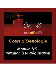 Cours d'Oenologie n°1 : Iniation à la dégustation - Chai N°5