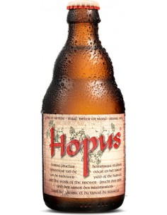 Hopus Blonde - Chai N°5