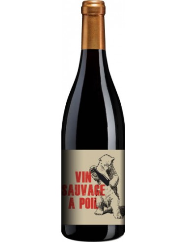 Vin Sauvage à Poil Régnié - Château de la Terrière - Chai N°5
