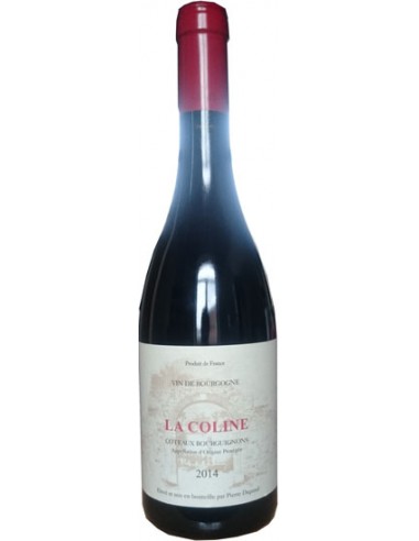 Vin Coteaux Bourguignons La Coline 2020 - Pierre Dupond - Chai N°5