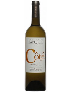 Vin Côté Tariquet 2020 - Domaine du Tariquet - Chai N°5