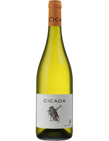 Vin Cicada Blanc 2021 - Domaine Chante Cigale - Chai n°5