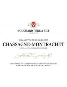 Vin Chassagne-Montrachet 2018 - Bouchard Père et Fils - Chai N°5