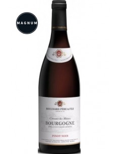 Bourgogne Coteaux des Moines 2019 en Magnum - Bouchard Père & Fils