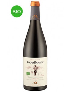Vin Amountanage 2019 - Marrenon - Chai N°5