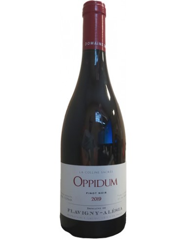 Vin Oppidum - Flavigny-Alésia - Chai N°5