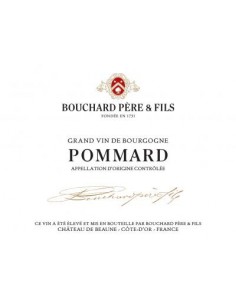 Vin Pommard 2018 - Bouchard Père et Fils - Chai N°5