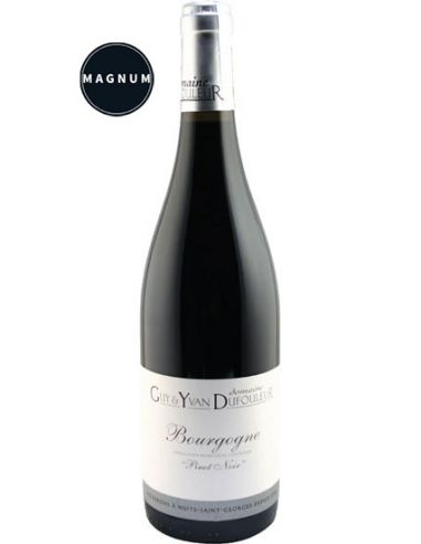 Vin Bourgogne en Magnum - Domaine Dufouleur - Chai N°5