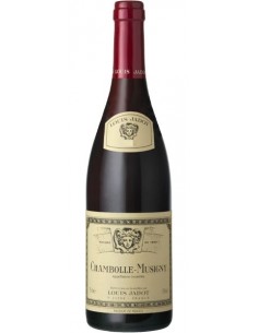 Vin Chambolle-Musigny 2015 - Louis Jadot - Chai N°5