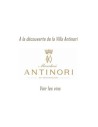 Antinori
