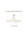 Antinori